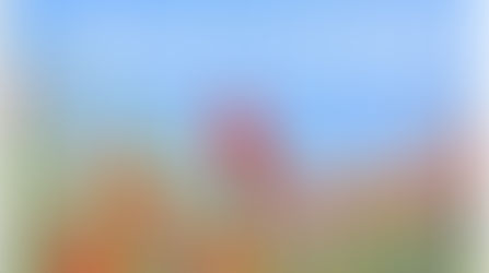 Belles vacances de Printemps