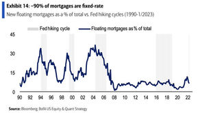 Rate Rises & The US Borrower