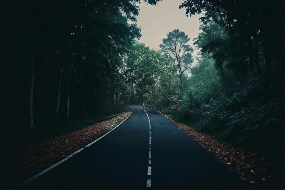 banner_walkingWoods.png
