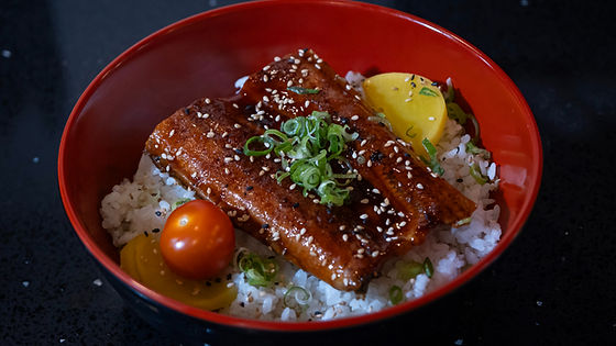 Unagi Don