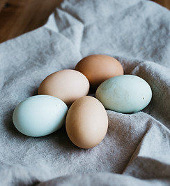 Colored Eggs