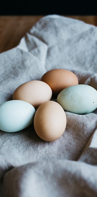 Colored Eggs