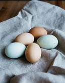 Colored Eggs