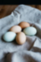 Colored Eggs