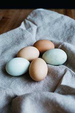 Colored Eggs