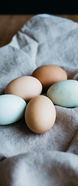 Oeufs colorés de nos poules en liberté