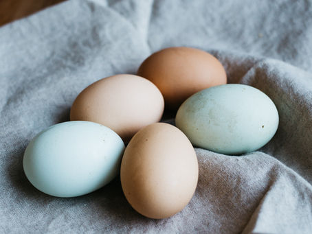 Fresh Eggs