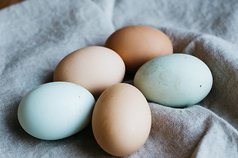 Oeufs colorés