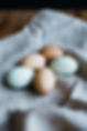 Colored Eggs