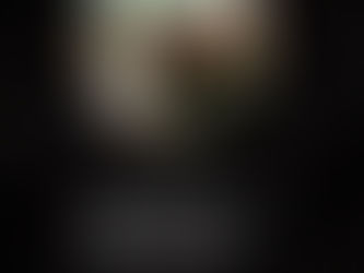 Desonra em Brazlandia!!!