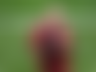 Ստամբուլում չեղարկվել է Ռոբի Ուիլյամսի համերգը