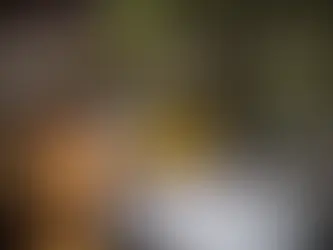 49 states are in drought conditions, threatening water resources and agriculture