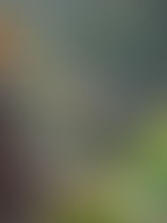 Հանրապետության տարածքում սպասվում է կարճատև անձրև և ամպրոպ, տեղ-տեղ հնարավոր է կարկուտ․ օդի ջերմաստիճանը կնվազի