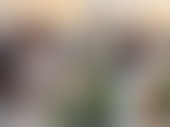 Երրորդ երեխային սպասող Լուսինե Թովմասյանն ու ամուսինը նշել են իրենց ամուսնության 12-րդ տարին