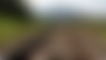 «Փաստ». Հայաստանը մեգածրագրերի մաս դարձնելը պետք է դառնա ապագա ազգային իշխանությունների խնդիրը