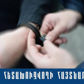 «Զվարթնոց» օդանավակայանում կնոջ են ձերբակալել