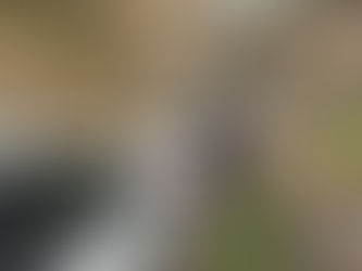 Հաղթանակի կամրջի տակ հայտնաբերվել է տղամարդու մարմին. փրկարարներն այն դուրս են բերել մեծ դժվարությամբ