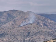 Խոսրովի անտառում այրվում է 1 հա խոտածածկույթ. մանրամասներ