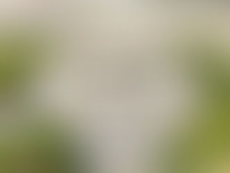 Օպերայի և բալետի թատրոնն այլևս ազգային չի լինի. ԱԺ-ն ընդունեց նախագիծը