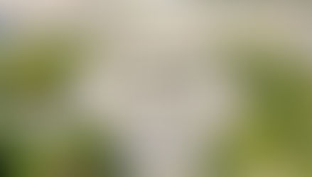 Օպերայի և բալետի թատրոնն այլևս ազգային չի լինի. ԱԺ-ն ընդունեց նախագիծը