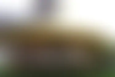 America's carousels are spinning out of existence. There's a fight to save them.