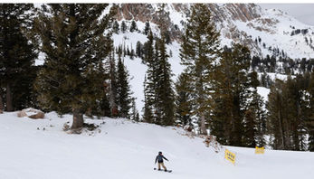 Avalanches kill father and girl; son praised for 'courageous efforts'