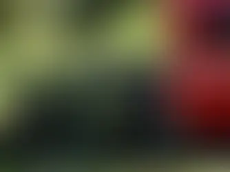 Woman dies after getting stuck in clothing donation box in Florida