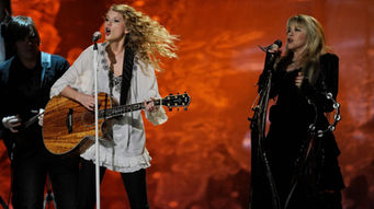 Why Stevie Nicks was a big part of Taylor Swift's wedding day