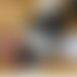 I'm a vet. Pet vaccine skepticism is barking up the wrong tree. |