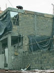«Փաստ». Ինչպես կարող են օրենքով սահմանված ժամկետից հետո կառուցված ինքնակամ կառույցները օրինականացվել. նախագիծ