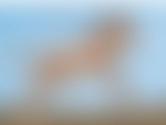 Biotech company Colossal, which brought dire wolves back to life, acquires Viagen