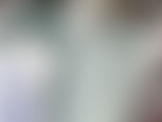 Իրավախախտումը չարձանագրելու համար փորձել էր կաշառք տալ պարեկներին