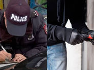 ՈՍՏԻԿԱՆՆԵՐԸ ԲՌՆԵԼ ԵՆ ԲՆԱԿԱՐԱՆ ԹԱԼԱՆԱԾ ԳՈՂ ՊԱՐԵԿՆԵՐԻՆ