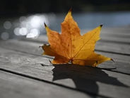 Առաջիկա 10 օրերին էլ ձյուն չի լինի. կլինի պարզ երկինք և առանց տեղումների եղանակ. Գագիկ Սուրենյան