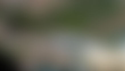 3 արցախցի այցելել է Կոռնիձոր, լուսանկարվել Արցախի ֆոնին, վերադարձի ճանապարհին ԱԱԾ ծառայողների կողմից կանգնեցվել են ու տեղափոխվել ոստիկանական բաժանմունք. Ռոման Երիցյան