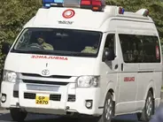 Պակիստանում ավտոմեքենան, որտեղ եղել է ՌԴ դեսպանը, պայթել է ականի վրա