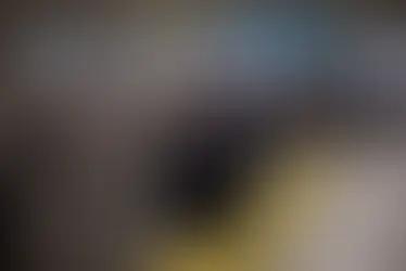 'I am afraid': Magnitude 5.3 earthquake rattles Santorini; people flee amid series of temblors