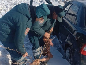 Արագած գյուղի մոտակայքում մեքենան դուրս է եկել ճանապարհի երթևեկելի հատվածից և գլորվել