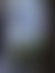 1.4 մլն դրամի ծաղկամաններ, 2.4 մլն դրամի վարագույրներ պետբյուջեի հաշվին. «Ժողովուրդ»