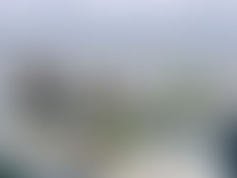 Սևանա լճում ձկան և խեցգետնի արդյունագործական որսի կազմակերպման գործընթացը կպարզեցվի