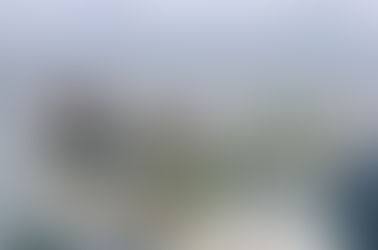 Սևանա լճում ձկան և խեցգետնի արդյունագործական որսի կազմակերպման գործընթացը կպարզեցվի