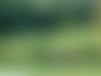 Trapped with 54 horses for 4 days: Biltmore Estate staff fought to find water after Helene