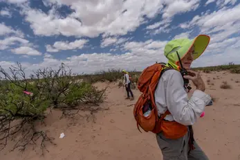 At the US-Mexico border, volunteers conduct a grim search for human bones