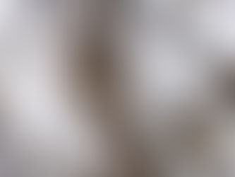 Սաստիկ բքի և ցածր տեսանելիության պատճառով Վարդենյաց լեռնանցքը դժվարանցանելի է