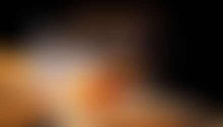 Ռուսաստանը «Պռոշյանի կոնյակի գործարանին» զրկում է ներմուծման լիցենզիայից