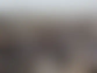 Arab League backs call for Hamas to disarm for a two-state solution