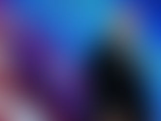 Latest on Trump Cabinet picks: Lee Zeldin, Elise Stefanik, Stephen Miller earn roles in administration