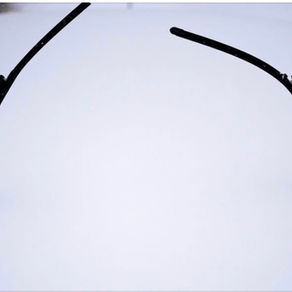 How much snow fell in your area? See latest snowfall totals.