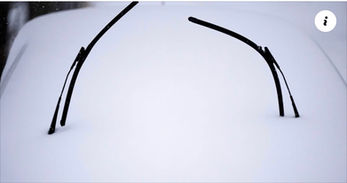 How much snow fell in your area? See latest snowfall totals.