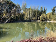 Սպասվում է առանց տեղումների եղանակ